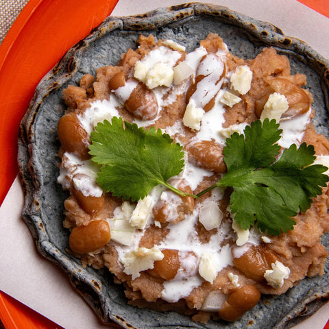 Blue corn tortillas with refried pinto beans, cheese & cilantro