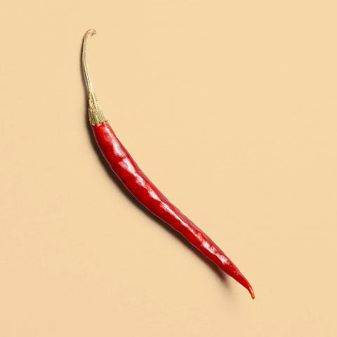 Single dried de arbol chile on a beige background