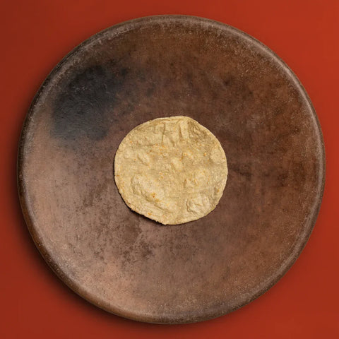 Single corn tortilla on a rustic brown plate against a red background