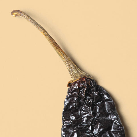 Close-up of a single dried pasilla pepper on a beige background
