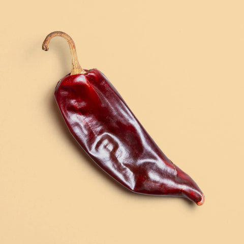 Single whole guajillo chile on a neutral background