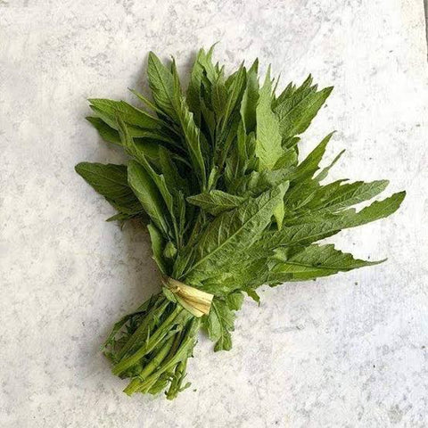 Mexican Herbs and Spices
