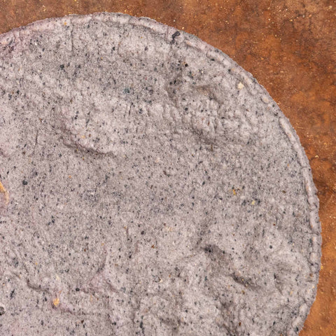 Fresh Blue Corn Tortillas (10cm) 1kg