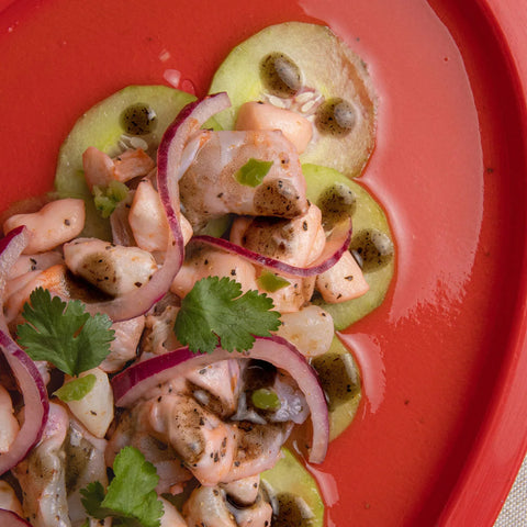 Salad with shrimp, cucumbers, and red onions on a red plate