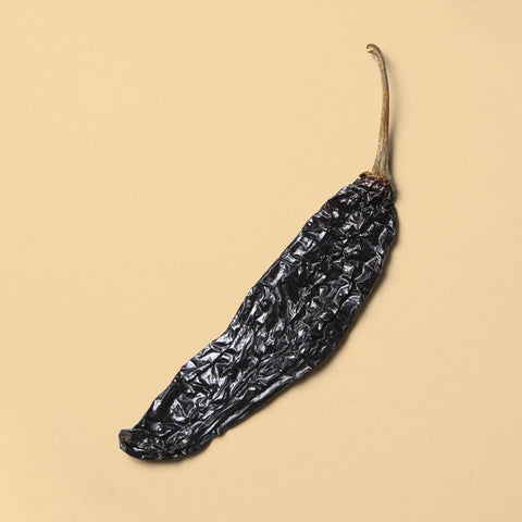 Single dried pasilla pepper on beige background